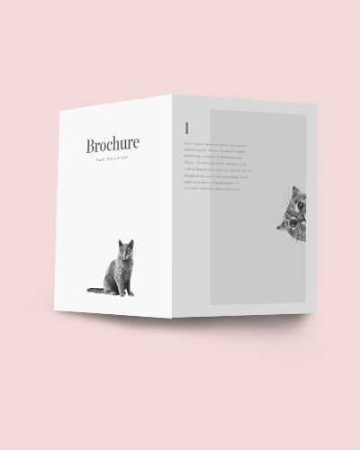 Brochure, Penulis : Leonardo